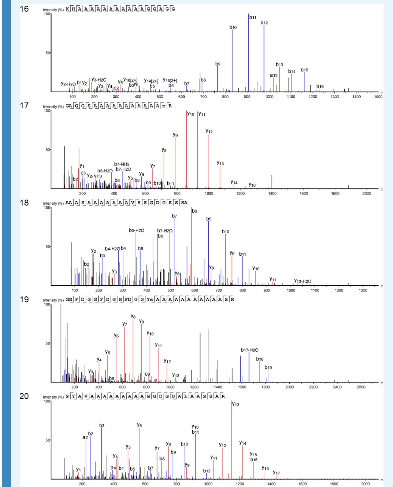 Appendix 1—figure 14. Product ion spectra [16 - 20] supporting the coverage of protein Hic74 identified in Unio pictorum. 