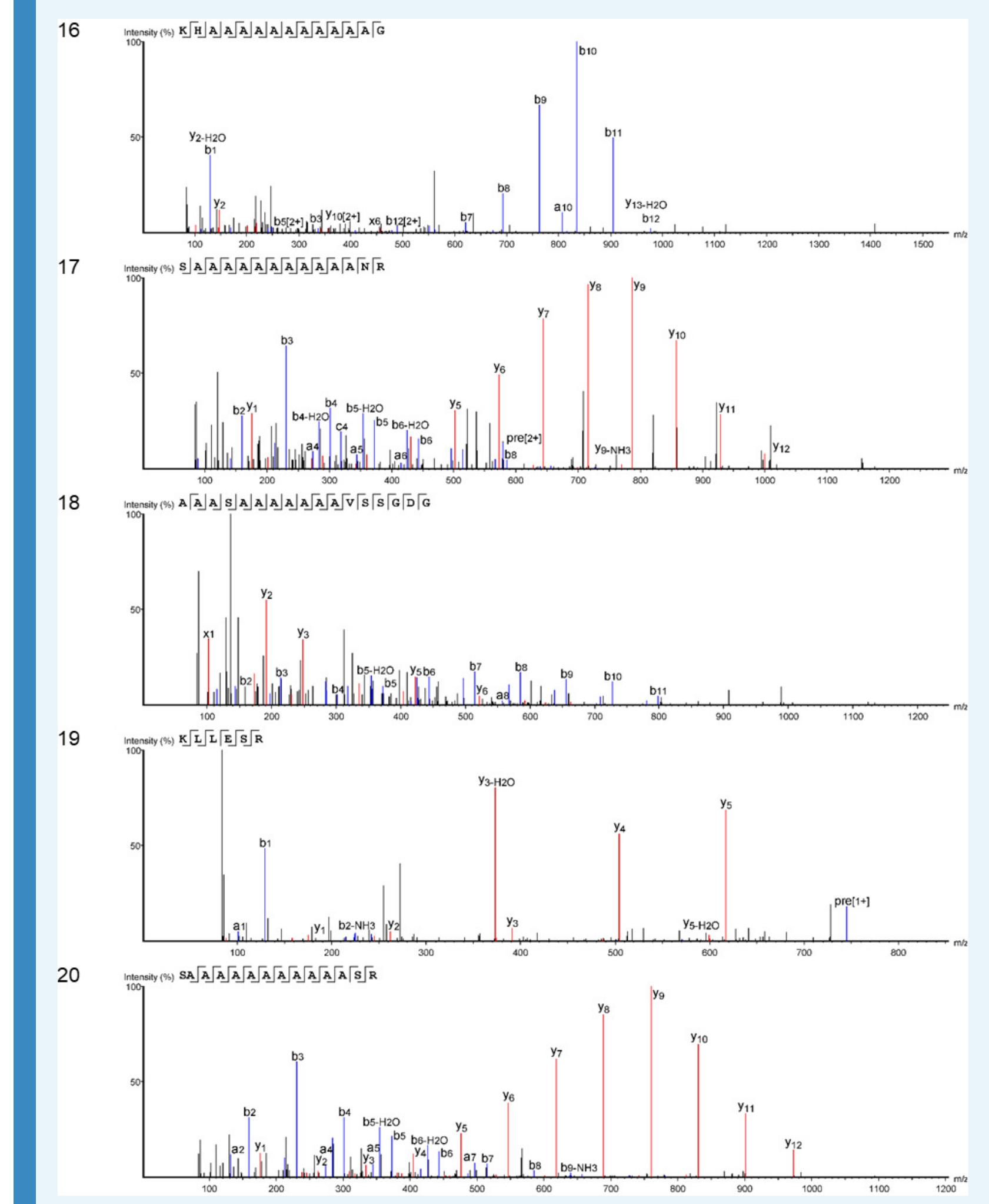 Appendix 1—figure 20. Product ion spectra [16 - 20] supporting the coverage of proteir Hic74 identified in the double-button HavC. 