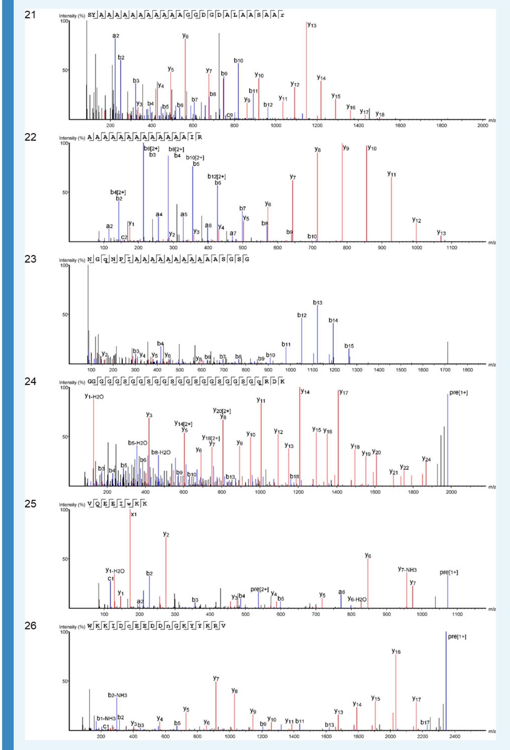 Appendix 1—figure 21. Product ion spectra [21 - 26] supporting the coverage of proteir Hic74 identified in the double-button HavC. 