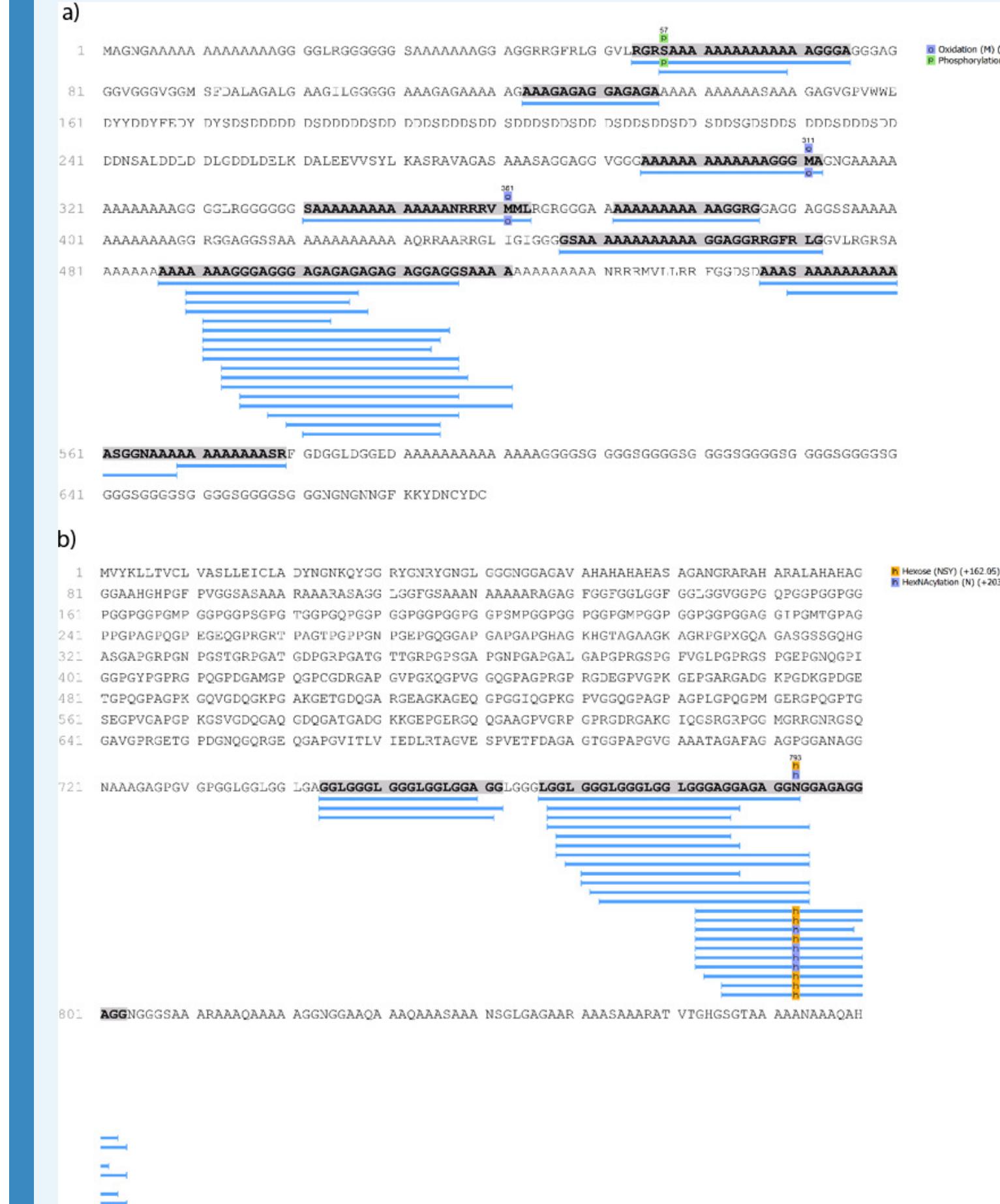 Appendix 1—figure 22. Marine shell proteins identified in double-button HavB: (a) MSI60- related protein (Pinctada fucata); (b) Precollagen D (Mytilus edulis). Note that both are supported only by repetitive low complexity (RLC) domains. Sequences reconstructed by assisted de novo on the basis of mono-charged ions mainly (spectra were acquired on the 400-1600 m/z range and multiply-charged ions were detected). 