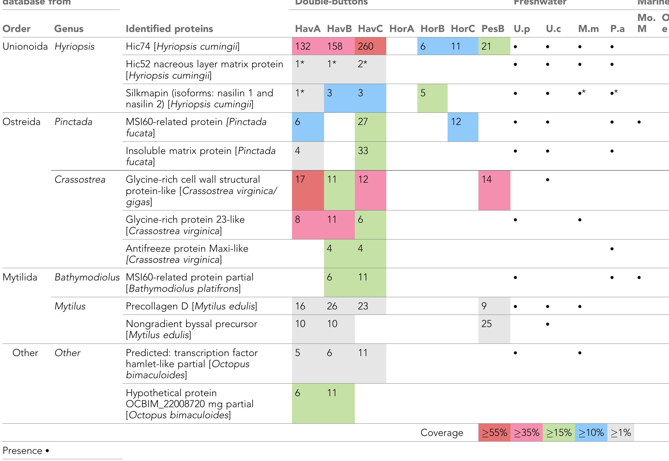 their presence/absence In the analysed set oT rererence tresnwater and marine shells (black dots).  Numbers indicate total number of peptide sequences identified and the cell colour is proportional to the coverage of the sequence itself. Threshold values for peptide and protein identification: false discovery rate (protein FDR) = 0.5%, protein score —10IgP > 40, unique peptides > 2, de novo sequences scores (ALC%) > 50. Asterisks (*) indicate proteins identified only when using less stringent parametres: protein score —10lgP > 20; unique peptides > 1. Note that molecular sequence databases for molluscan species are incomplete and biased towards well-studied model organisms. The peptide sequences recovered in our study were identified using sequence homologies with proteins originally described from Hyriopsis cumingii, Crassostrea sp., Pinctada sp., Mytilus sp. and several others. As a result of database insufficiency, the bioinformatic search of these ‘shellomes’ could not identify the exact taxon of our samples, but provided a strong indication of the fact that the closest taxon to that of the ornaments (and of the freshwater reference shells) is the pearl-producing triangle sail mussel Hyriopsis cumingii (Unionoida).  Table 2 shows the top-scoring proteins from the seven double-buttons: the numbers indicate the peptides supporting each protein identification, while protein coverage (i.e. the percentage of  Table 2. Main protein sequences identified in the double-buttons from Havng, Hornstaad-Hornle IA and Pestera Ungureasca and their presence/absence in the analysed set of reference freshwater and marine shells (black dots). 