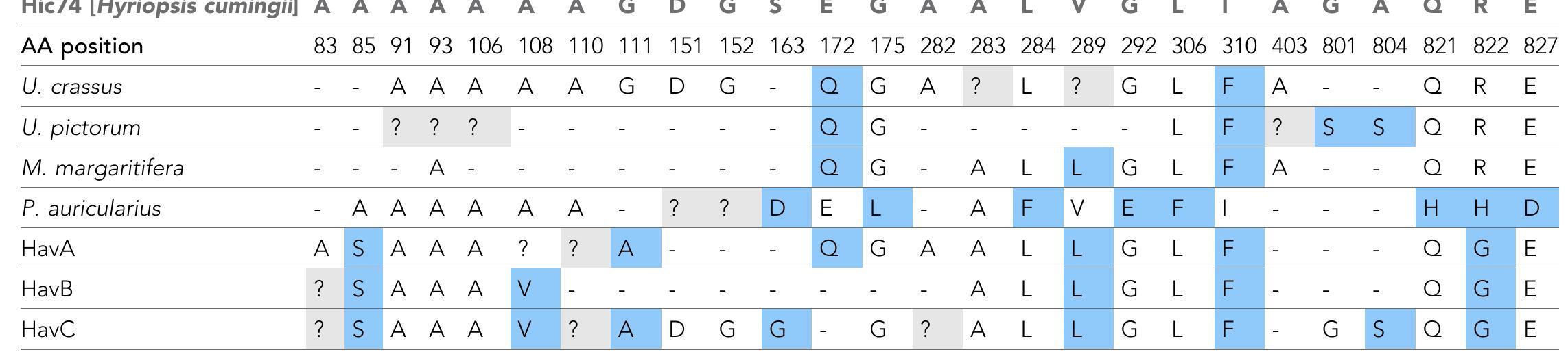 DOI: https://doi.org/10.7554/eLife.45644.025  sequence |Hyriopsis cumingii}.  Positions are derived from the sequence alignment shown in Figure 6. Dashes indicate that the position was not covered for that sam- ple; question mark symbols indicate ambiguous substitutions. Hic74 coverages for each sample and supporting product ion spectra are presented in Figure 6—figure supplement 1, Figure 6—figure supplement 2, Figure 6—figure supplement 3, Figure 6—fig- ure supplement 4, Figure 6—figure supplement 5, Figure 6—figure supplement 6, Figure 6—figure supplement 7, Figure 6— figure supplement 8, Figure 6—figure supplement 9, Figure 6—figure supplement 10, as well as in Figure 6—source data 1. 