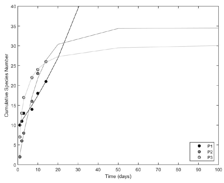 Figure 2. Cumulative number of ciliate species excysted at each rock pool (P1-P3) in the study period (14 days). Numero acumulativo de especies de ciliados exquistadas en cada pila granitica (P1-P3) durante el periodo de estudio (14 dias). 