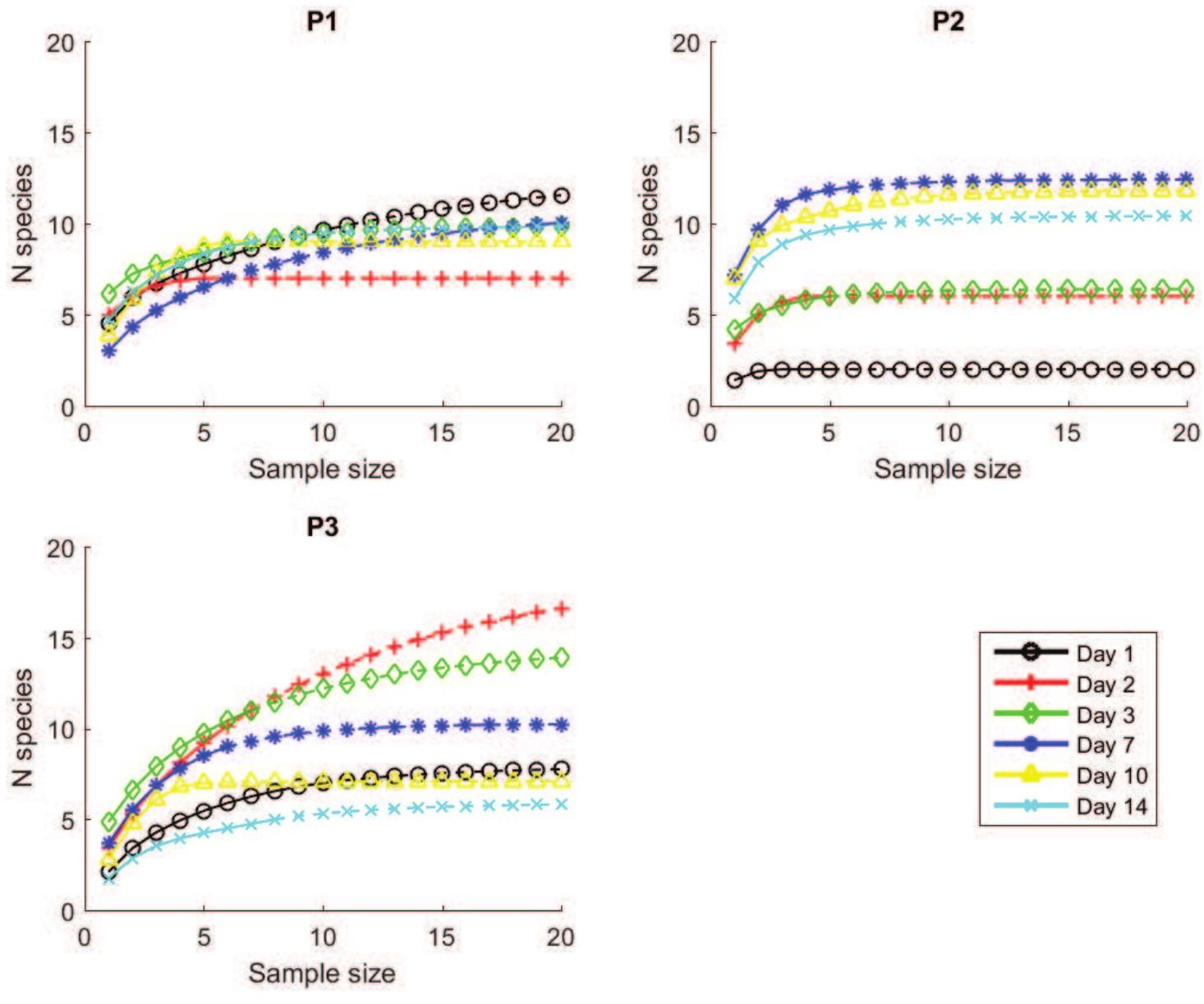 Figure 3. Rarefaction curves for each ciliate assemblage (site—day) with respect to the number of samples (replicated incidence data). Interpolation (continuous lines) and extrapolation (dashed lines) data are shown for the three pools. Curvas de rarefaccion para los ciliados (sitio-dia) en relacion al numero de muestras (datos de incidencia de replicas). Se indican los datos de interpolacion (lineas continuas) y extrapolacion (lineas discontinuas) para las tres pilas.  according to their main food and feeding strategy (based on Foissner & Berger, 1996): Scuticocili- ates (planktonic bacterivores), Colpodids (plank- tonic bacterivores), Spirotrichs (benthonic bacte- rivores) and Carnivores/Omnivores (feeding on a variety of algae, bacteria and other ciliates). The occurrence and abundance of these four groups were monitored over time. Results show that here was not a homogeneous distribution of hese ciliate groups in the rock pools, as the frequencies of maximum abundances of each of he groups were significantly different depending on the pool analyzed (X2 471.6; DF 6; p < 10-4). Figure 4 illustrates that the most abundant groups, Colpodids and Scuticociliates, had diametrically opposed dynamics in pools P1 and P3. While P1 had a low ratio of Colpodids/Scuticociliates, P3 had a high ratio of Colpodids/Scuticociliates.  