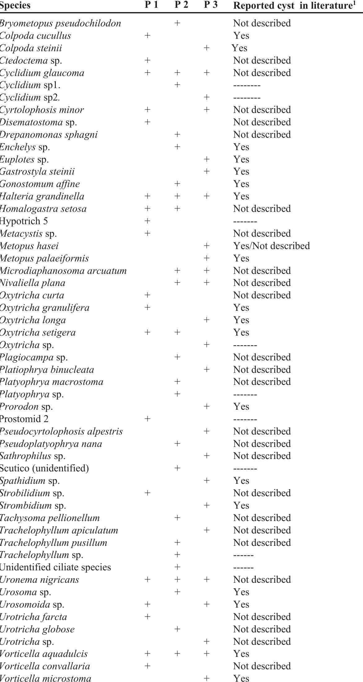 Table 2. Ciliate species identified in ombrotrophic granite rock pools (P1-P3) of La Pedriza (Parque Nacional Sierra de Guadarrama). Especies de ciliados identificadas en pilas graniticas ombrotroficas (P1-P3) de La Pedriza (Parque Nacional Sierra de Guadarrama).  ! See Supporting Information for further details and references for Table 2 (available at http://www. limnetica.net/en/limnetica) 