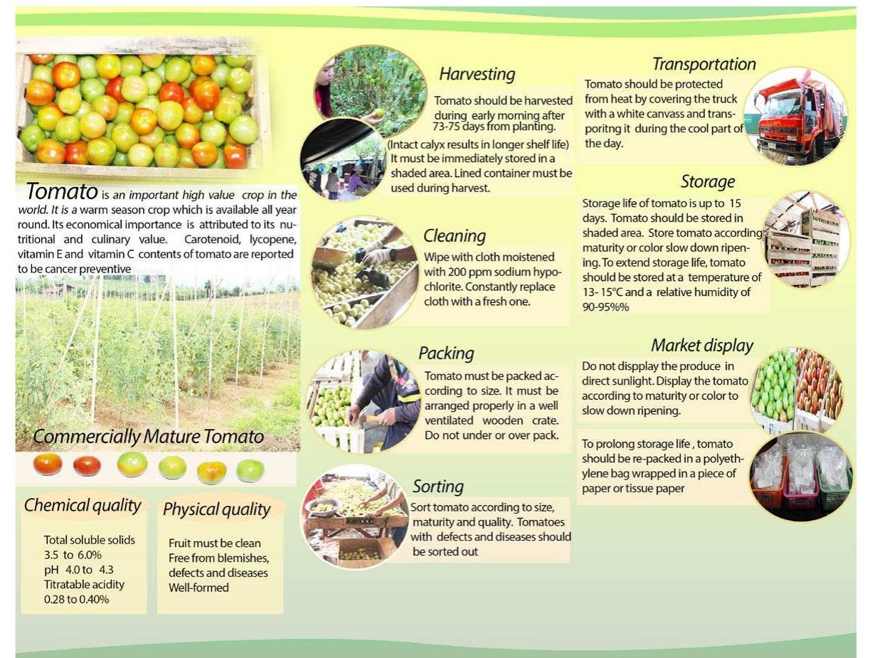 (PDF) Improved postharvest management of fruit and vegetables in the ...