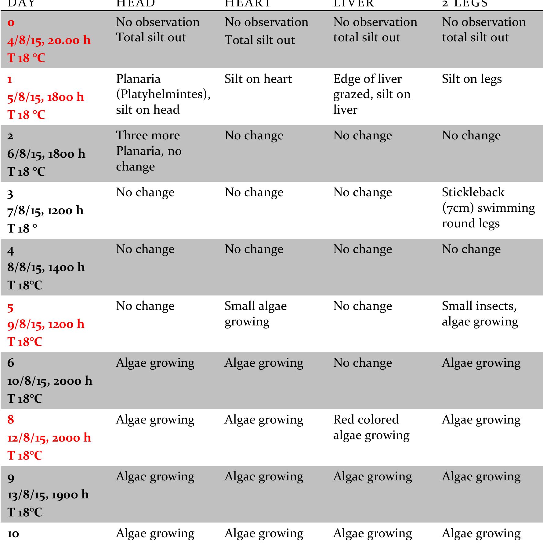 (PDF) FRESHWATER SUBMERGED BODY DECOMPOSITION A PILOT STUDY