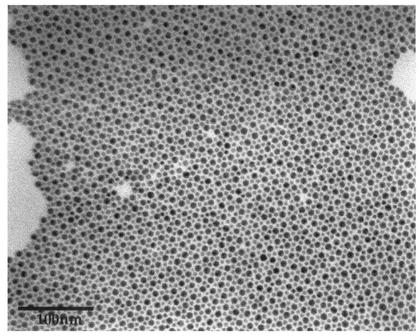 Tem micrograph of a section of an ab (nacl-type)