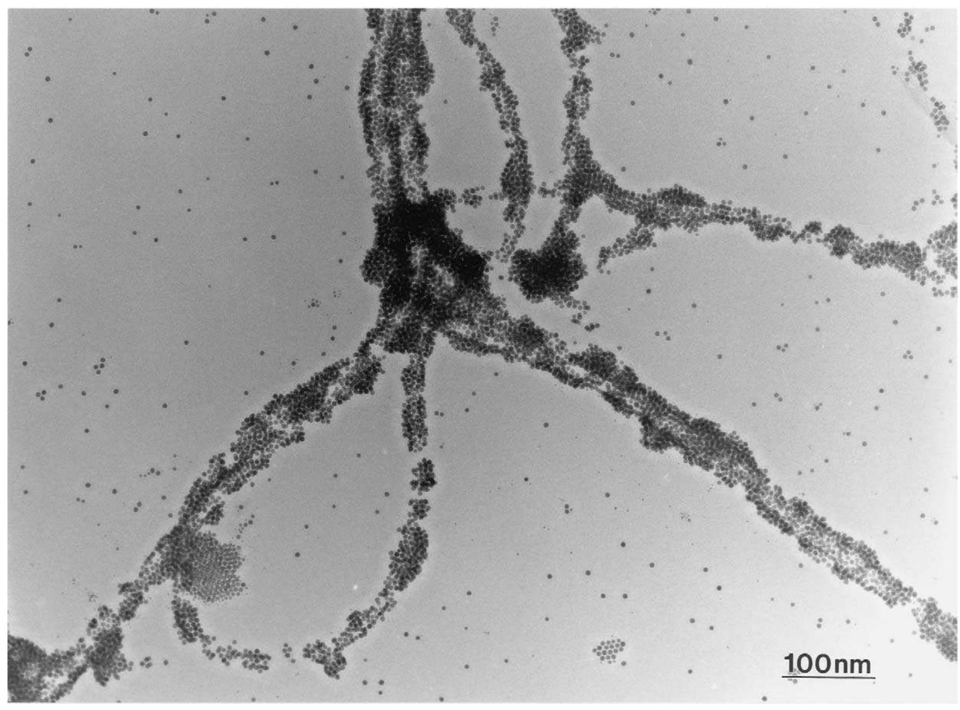 Tem micrograph of a section of an ab (nacl-type)