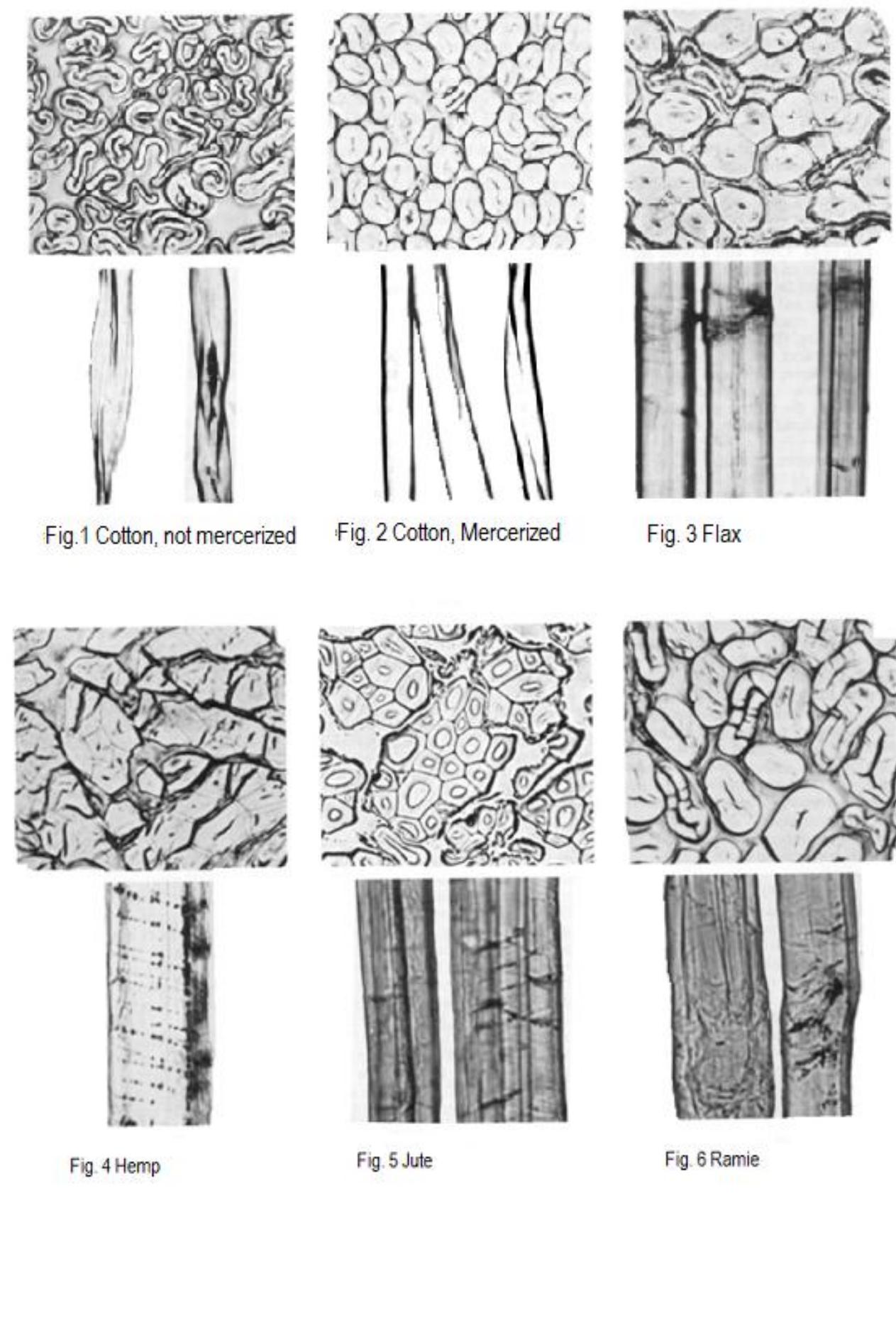 (PDF) A Review Paper on Textile Fiber Identification