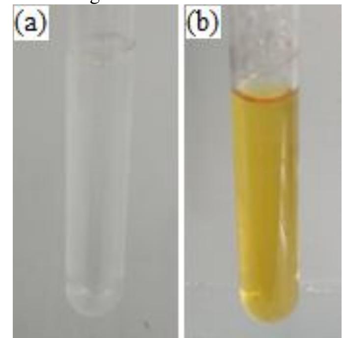 The color of agnps synthesis (a) before heating, and (b)