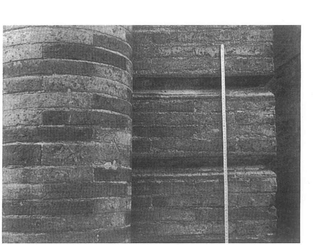 per le volte del pian terreno; «quadrati di un palmo», pit sottili degli altri e disposti in piano sono invece usati per le volte dei piani superiori («un di costrutte anche di cannucce conglutinate di gesso») ed i solai?!.  Con l’Unita la definitiva assimilazione della misura in lunghezza del mattone a quella del palmo napoletano guada- gna a tutta la produzione regionale dei laterizi le norme seguite in ambito nazionale, sebbene le usanze locali conti- nuino a giocare il loro ruolo in termini di nomenclature, dimensioni e forme. A Teramo, a fine secolo il commercio dei laterizi vantava una varieta compresa tra mattoni da muro, anche detti «zucconi», lunghi dai 26 ai 30 centimentri, con altezze di 13-15 cm e spessore di 6; mattoni da volta, spessi 4-5 cm; pianelle, mattoni da tetto cioé, con spessore che scende ai 2 cm; e mattonelle o quadri da pavimento”’. 