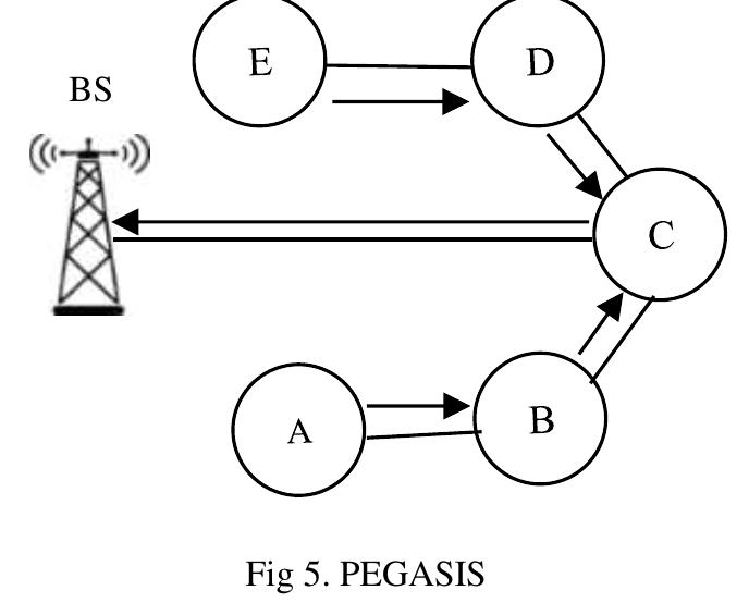 The figure 3 illustrates the pegasis chain like structure as