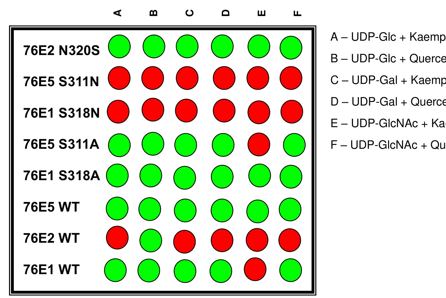 Serine had impacted the substrate recognition pattern. the
