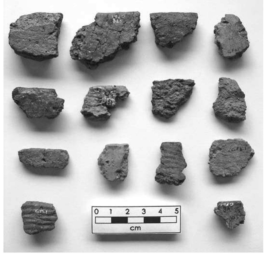 Interior Rim Interior surface of rim sherds lacking cord marks on one or