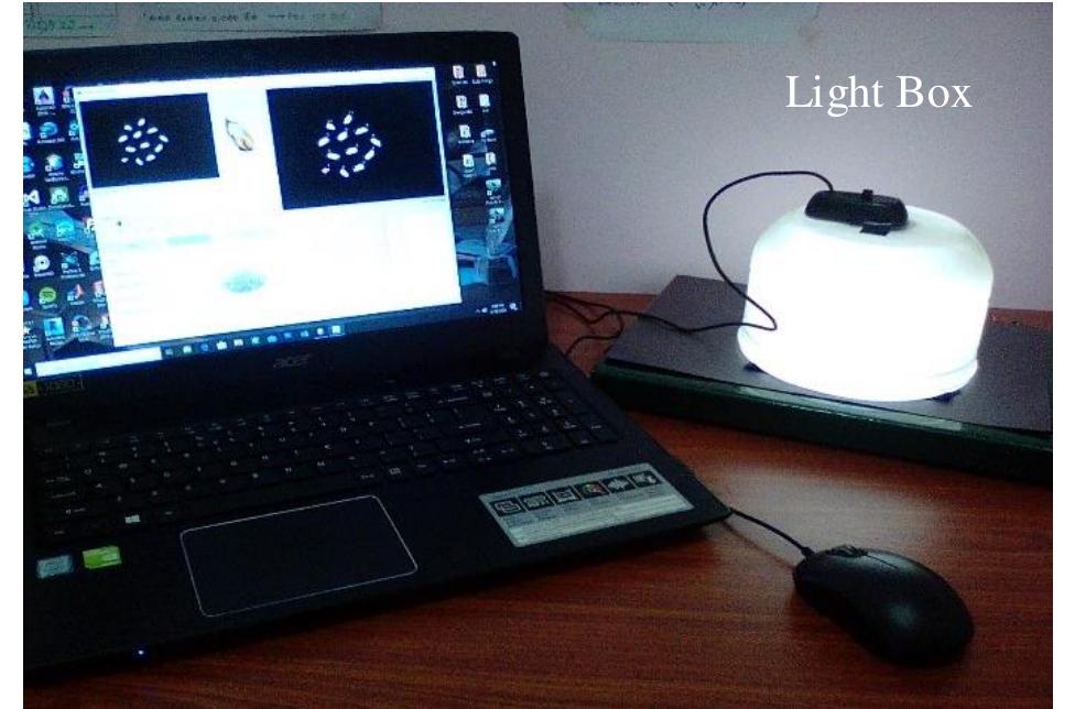 (PDF) Machine Vision Techniques for Improve Rice Grain Quality ...
