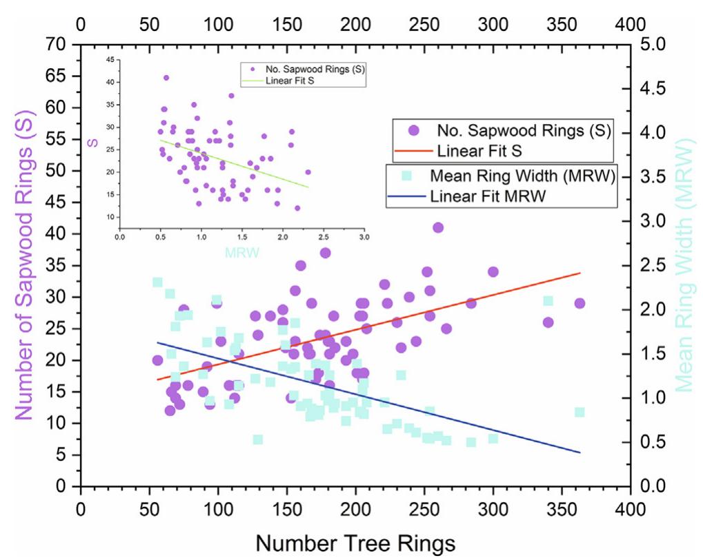 Fig. 4. Scatterplots of North Turkish Oak (Quercus section Quercus) data (Supplementary Table A.2) used in constructing an oak sapwood model, with linear regression lines showing the relationships between number of rings in each sample (x-axis) versus number of sapwood rings (S, purple); and versus mean heartwood ring width (MRW, blue). MRW (x-axis) is also plotted against S (inset). 
