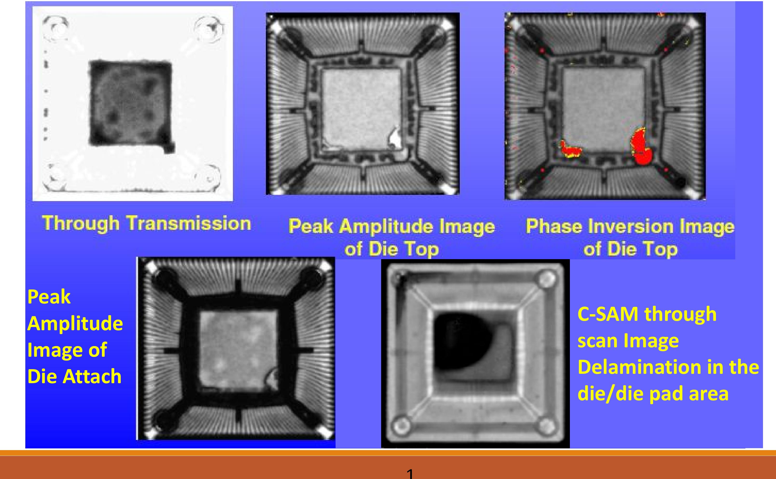 Figure 14 - from Scanning Acoustic Microscopy