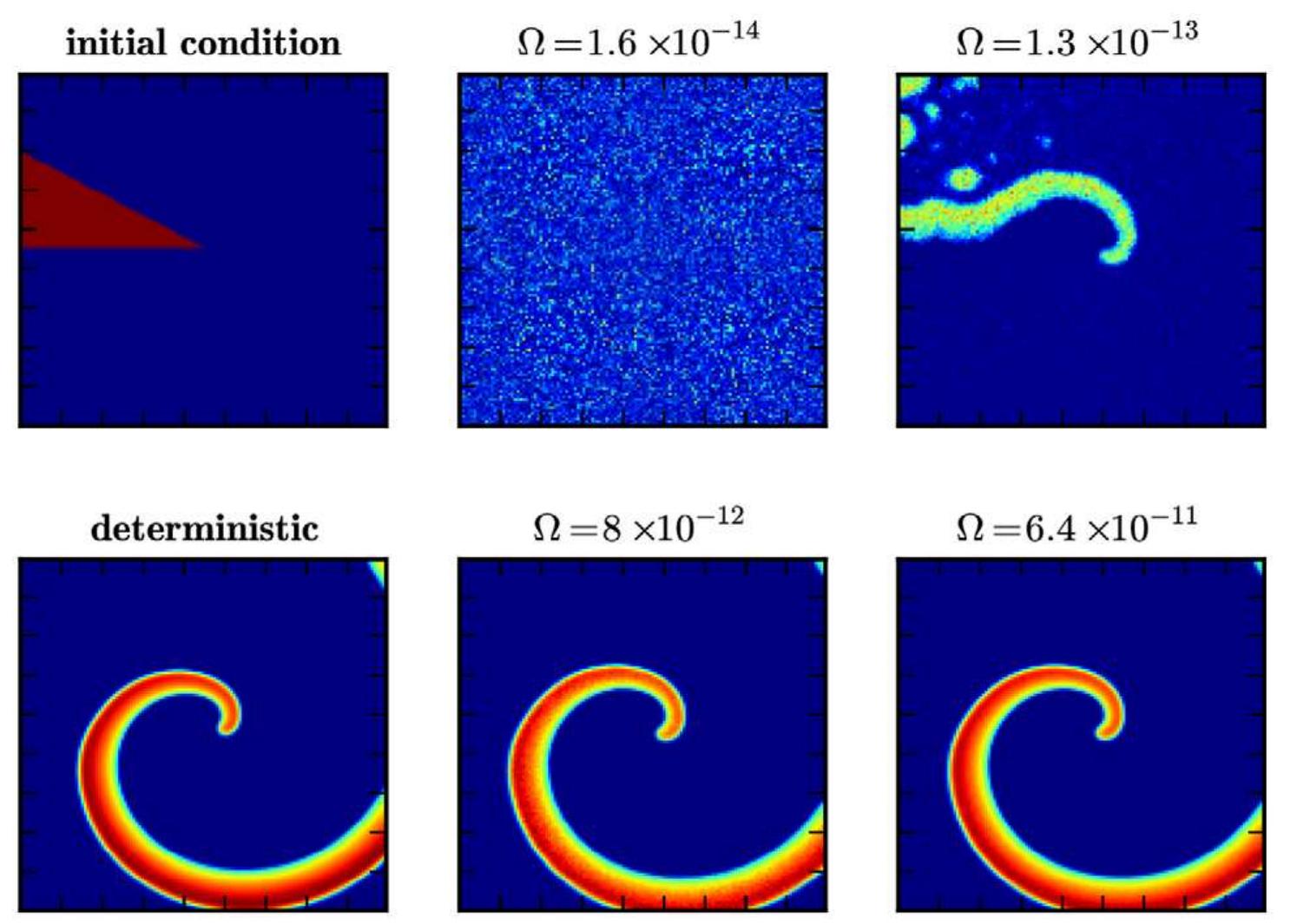 Figure 4. Formation of a spiral wave in the Oregonator model. Shown are snap-shots of the formation of a spiral wave in the Oregonator model for the BZ reaction Eqs. (7)-(14), initialized as shown in the top left panel, at t=50 s in the deterministic simulation (bottom left) and in stochastic simulations for different scale factors Q (rightmost columns).  doi:10.1371/journal.pone.0042508.g004  As expected, nucleation of the spiral wave breaks down in the microscopic regime. For Q=25 (top middle panel), the wave-front 
