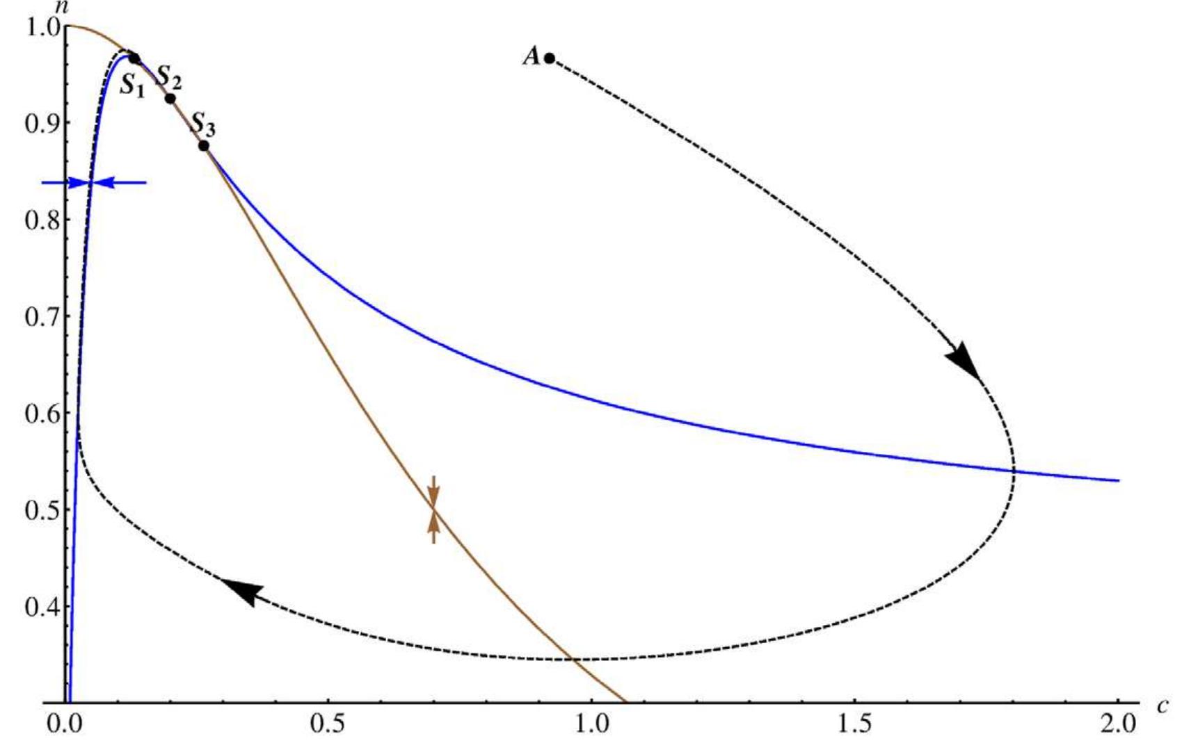Figure 5. Nullclines in the Ca?+ model. We display the nullclines of the Ca?+ concentration c (blue curve), which can be regarded as th activator, and the fraction of open channels 1 (brown curve) for the Calcium oscillation model in the deterministic limit [Eqs. (27)-(29)] for the parameter set given in Table 7 and assume that diffusion is switched off. The blue (brown) arrow illustrates the gradient in phase space of th activator (inhibitor) on either side of the nullcline and the fix points are marked with Sj 3. We plot an example trajectory (dashed curve) of a large perturbation from the homogeneous state S). Starting at point A, the system relaxes towards S| via a long excursion. doi:10.1371/journal.pone.0042508.g005 