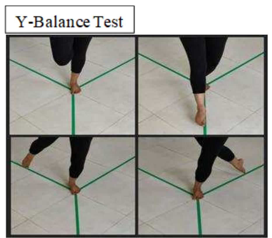 (PDF) Comparison of Effect of Proprioceptive Training and Core Muscle ...