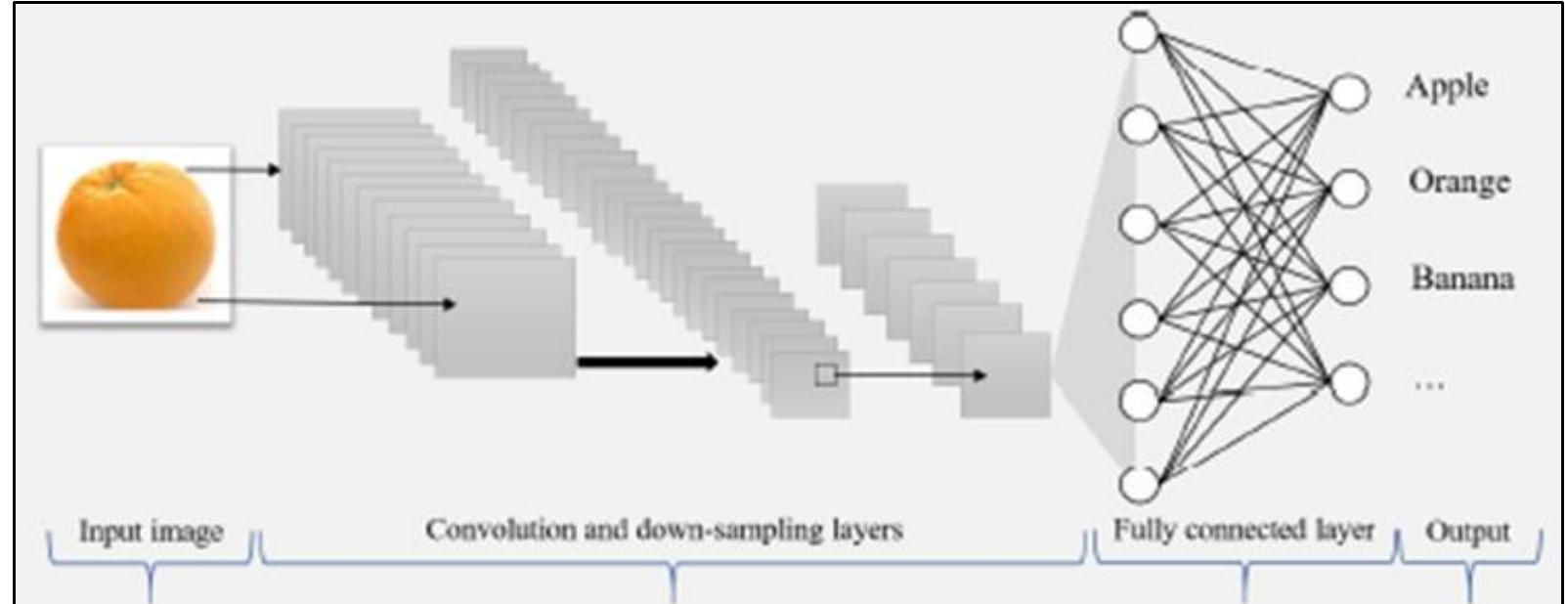(PDF) Fruits Classification using Convolutional Neural Network