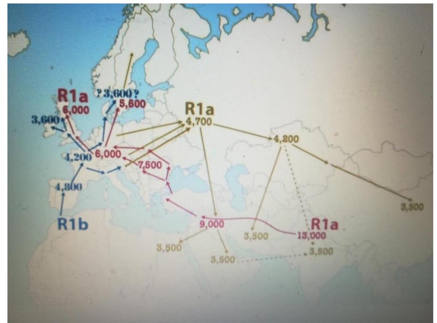 Numic Spread Map Map of the spread of genes rla et r1b according to anton