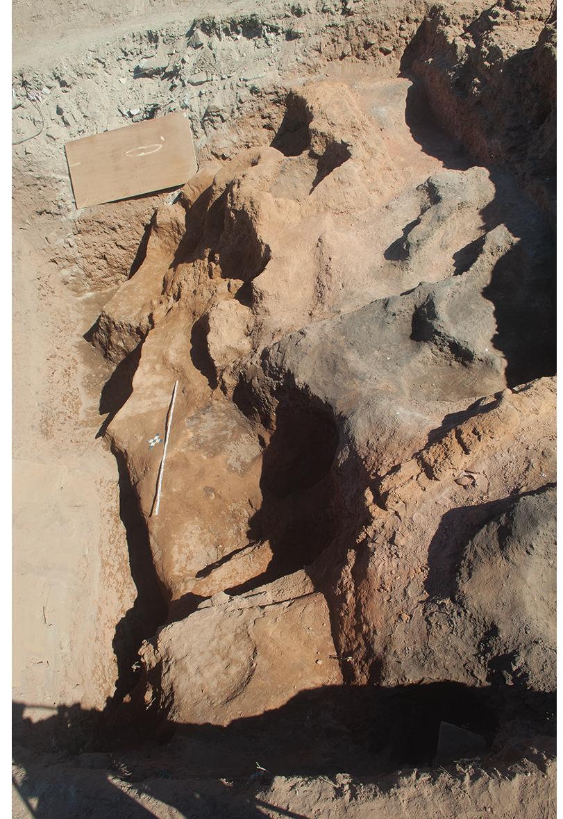 In combination with the structures found in 2017, three complexes of tombs can be distin- guished, although as the eastern part of the area suffered the most severe destruction, it is not possible to reconstruct the outline of the tombs there reliably. The western part however gives an idea of the nature of the structures and their arrangement.  32 Overview, Area s/9 north 