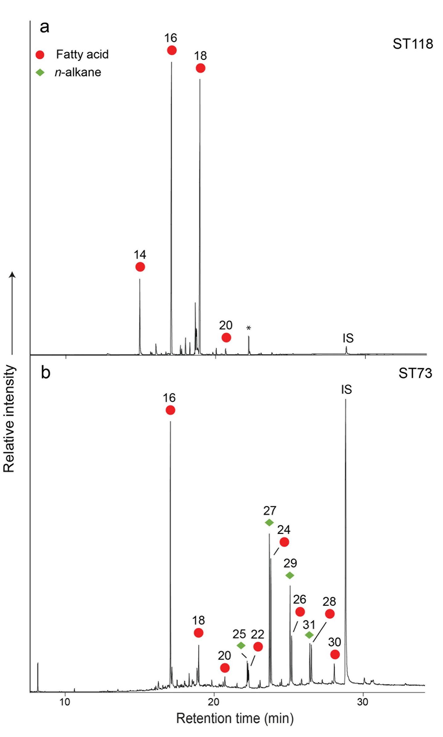 Fig 2. Partial gas chromatograms of trimethylsilylated Fatty Acid Methyl Esters (FAMEs) from Star¢evo-Grad. a: potsherd ST118, showing a typical degraded animal fat profile [23,39], dominated by palmitic (Cy¢.9) and stearic (Ci.0) fatty acids (shown as red circles). b: potsherd ST73, displaying a series of long-chain fatty acids (red circles) and n- alkanes (green diamond), likely indicative of plant processing. IS indicates the internal standard. 