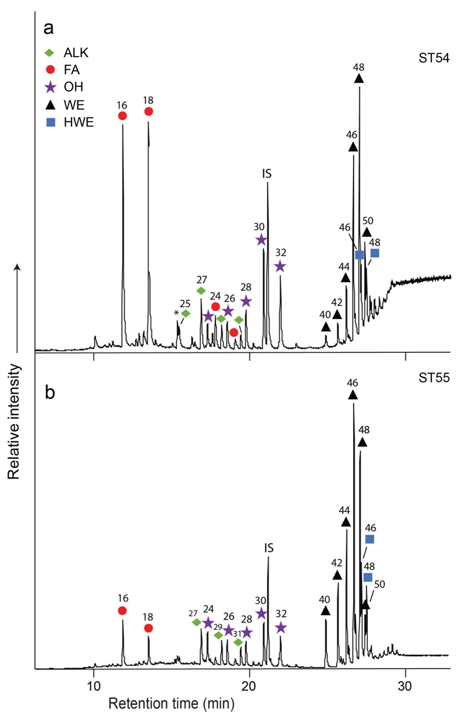 Fig 4. Partial high-temperature gas chromatograms of trimethylsilylated TLEs from the pottery extracts ST54 and ST55 containing beeswax. Red circles, n-alkanoic acids (fatty acids, FA); green rhombus, n-alkanes (ALK); purple star, n-alkanols (OH); black triangles, fatty acyl monoesters (WE); blue squares, hydroxyl fatty acyl monoesters (HWE) and IS, internal standard, C34 n-tetratriacontane. High abundances of Cy, and Ci fatty acids, particularly potsherd ST54, are interpreted as originating from mammalian animal fats. 