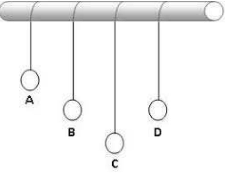Pendulam Rope Figure 2 - from Roles of Cymatics & Sound Therapy in