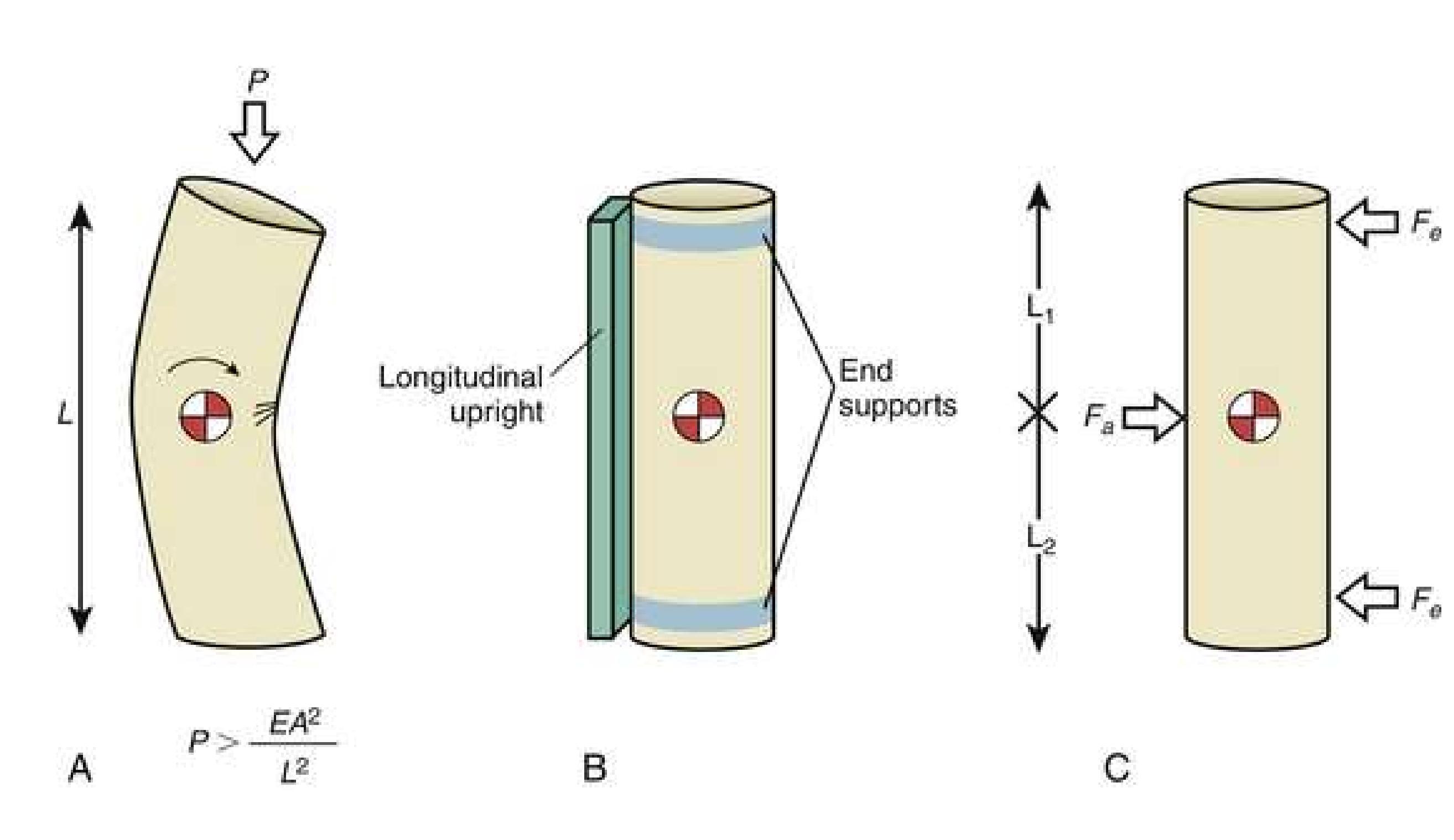 (PDF) SPINAL ORTHOSES