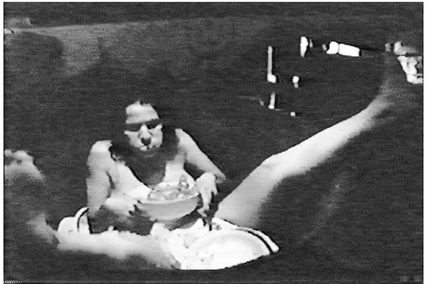 PDF) Holocaust Film: The Political Aesthetics of Ideology