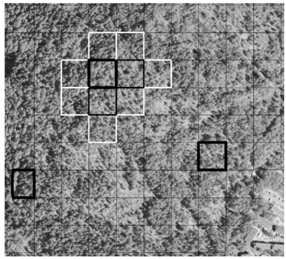 PDF) FOREST INVENTORY