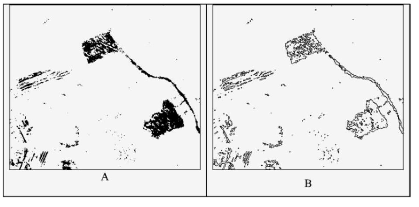 PDF) FOREST INVENTORY