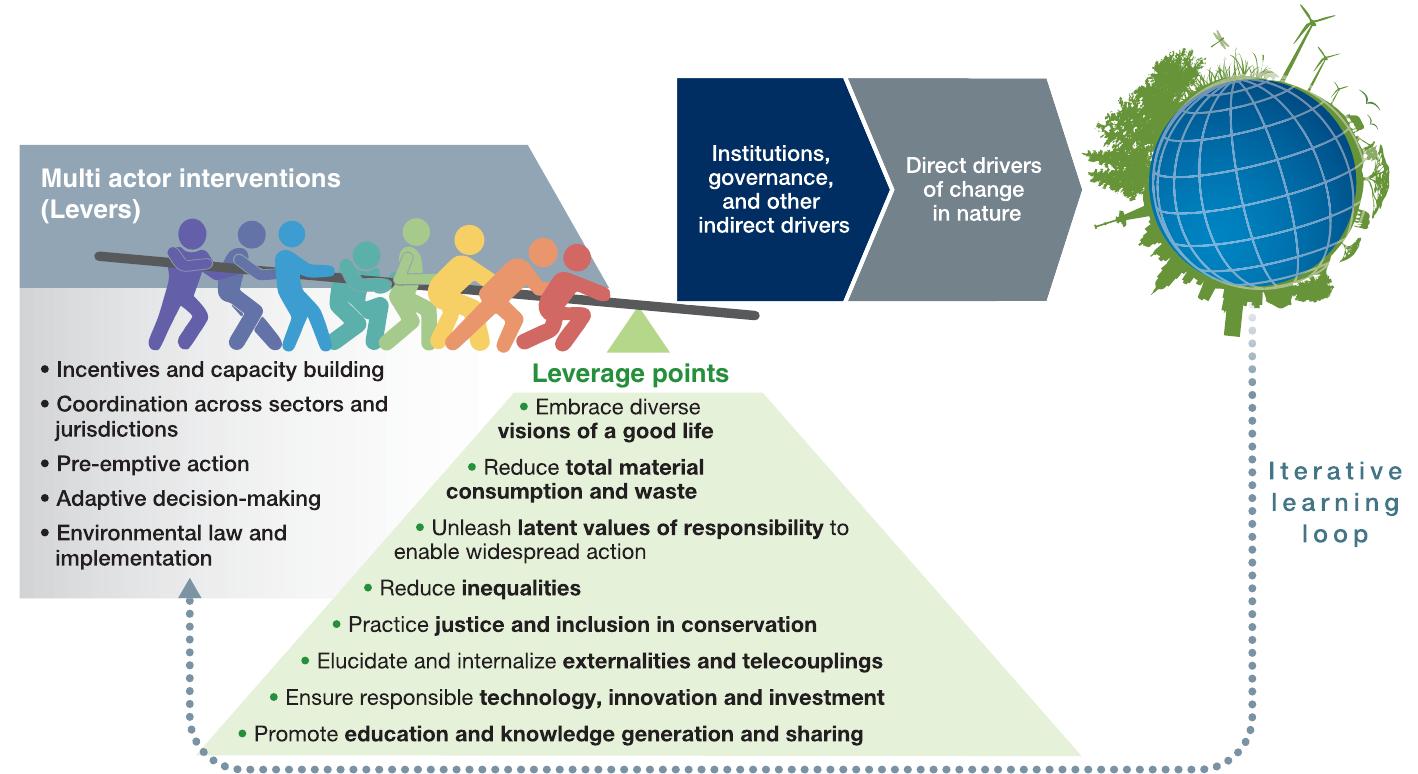 FIGURE 2 Collaborative implementation of priority interventions (levers) targeting key points of intervention (leverage points) could enable transformative change from current trends towards more sustainable ones. Most levers can be applied at multiple leverage points and more generally by a range of actors (such as intergovernmental organizations, governments, non-governmental organizations, citizen and community groups, IPLCs, donor agencies, science and educational organizations and the private sector), depending on context. At the leverage points (bolded), we have specified actions consistent with transformative change to sustainability (unbolded). This figure is adaptec from IPBES (2019b), focusing on levers and leverage points, with slight wording modifications for consistency with the text; artist: Yuka Ectrada 