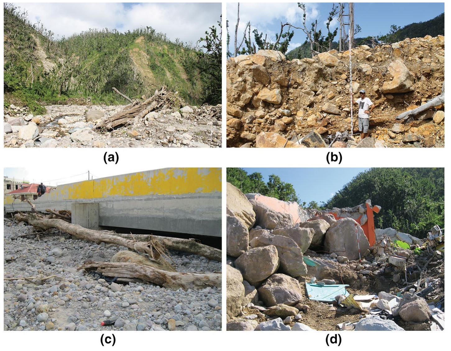 Fig. 2 Field pictures from January 2018 survey showing selected geomorphological processes (Adobe Ilus- trator): a Landslide scars, now partly vegetated, on a mountainside above the Pichelin River. The landslide scars expose weathered bedrock of lava flows and pyroclastic deposits (Day, S.). b Large boulders and tree debris in landslide runout deposit, with some debris flow characteristics, near Sulphur Springs resort, Sou- friere. Levelling staff extended to full 5 m length (Day, S.). ¢ Tree debris forming a plug under northern span of bridge on Roseau River in central Roseau, largely buried by the poorly sorted alluvium that accu- mulated upstream of the plug (Heidarzadeh, M.). d Buildings destroyed by boulder-rich debris flow in steep channel, Champagne (Heidarzadeh, M.) 