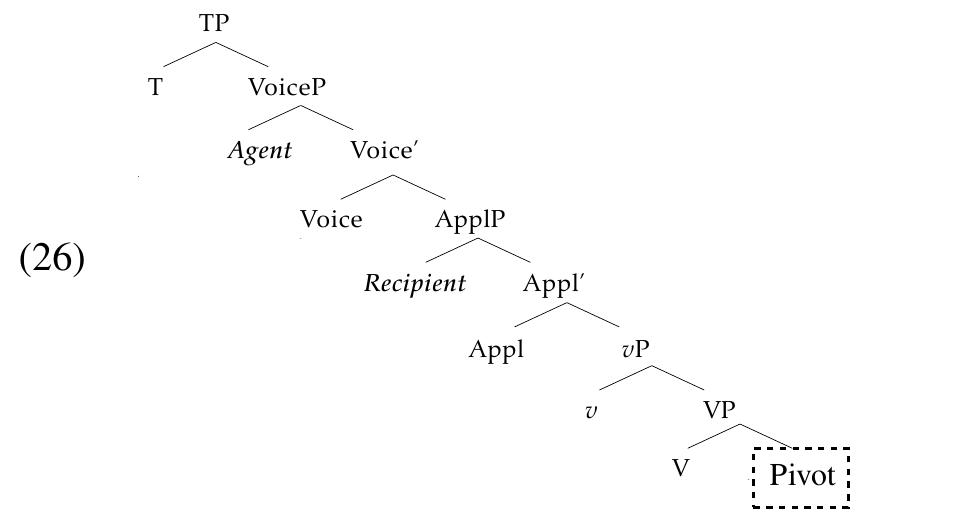 Finally, the fact that Austronesian-type voice morphology obligatorily cliticizes to the highest predicate of a clause in Puyuma—even when that predicate is an adverb (e.g. (27b) and (28b))—follows consistently from the agreement approach to Austronesian-type voice and casts further doubt on the claim that LV/CV affixes are applicative markers.  The binding facts above demonstrate that the recipient in the CV-clauses (25a-b) asymmetrically c- commands the pivot-marked theme, as in (26). This indicates that the latter is not in the highest internal argument position eligible for object shift—contra the baseline assumption of the applicative account of CV morphology (20d) (Mithun 1994; Aldridge 2004 et seq; Rackwoski & Richards 2005, a.o.). 