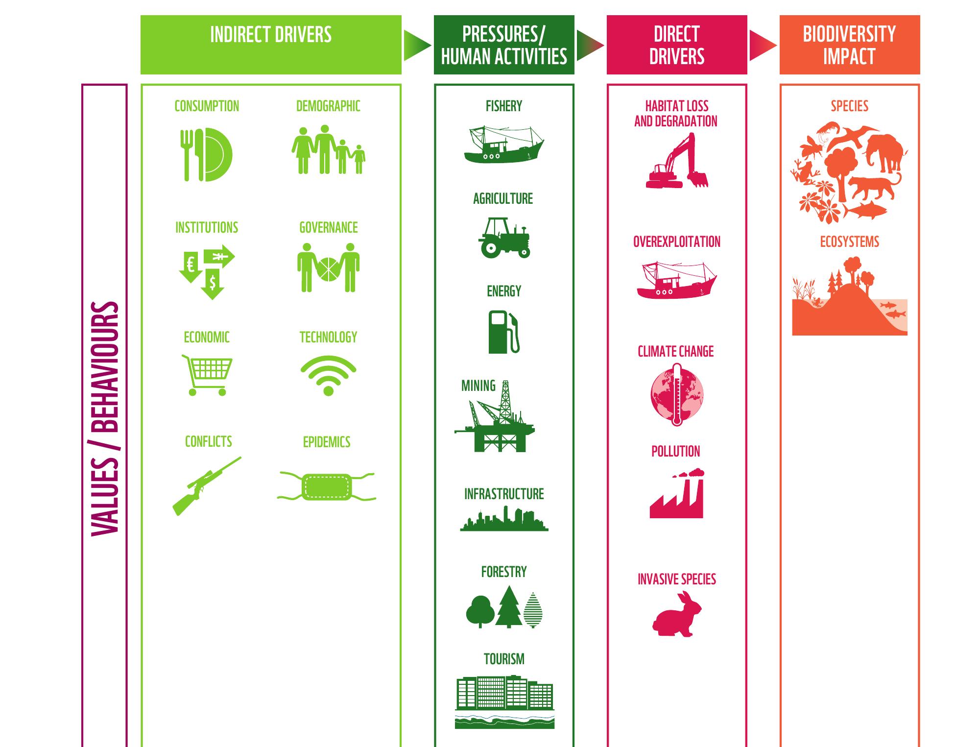 (PDF) BENDING THE CURVE OF BIODIVERSITY LOSS LIVING PLANET REPORT 2020