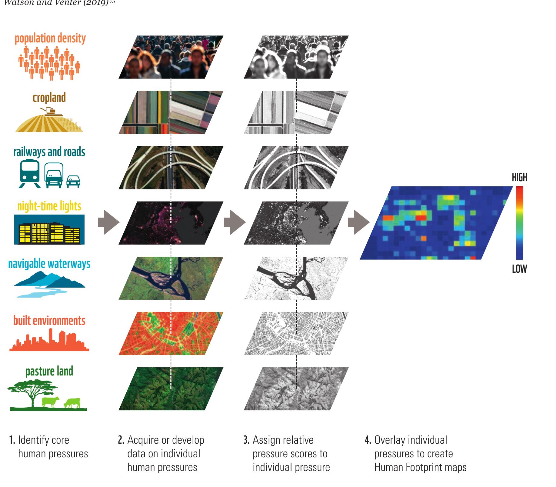 (PDF) BENDING THE CURVE OF BIODIVERSITY LOSS LIVING PLANET REPORT 2020