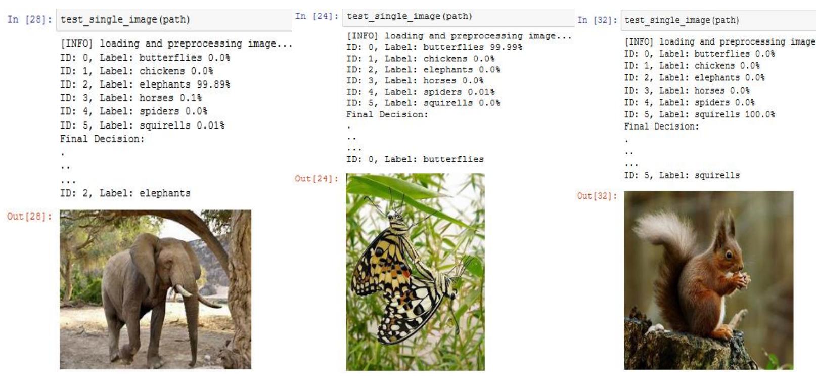 (PDF) Fauna Image Classification using Convolutional Neural Network