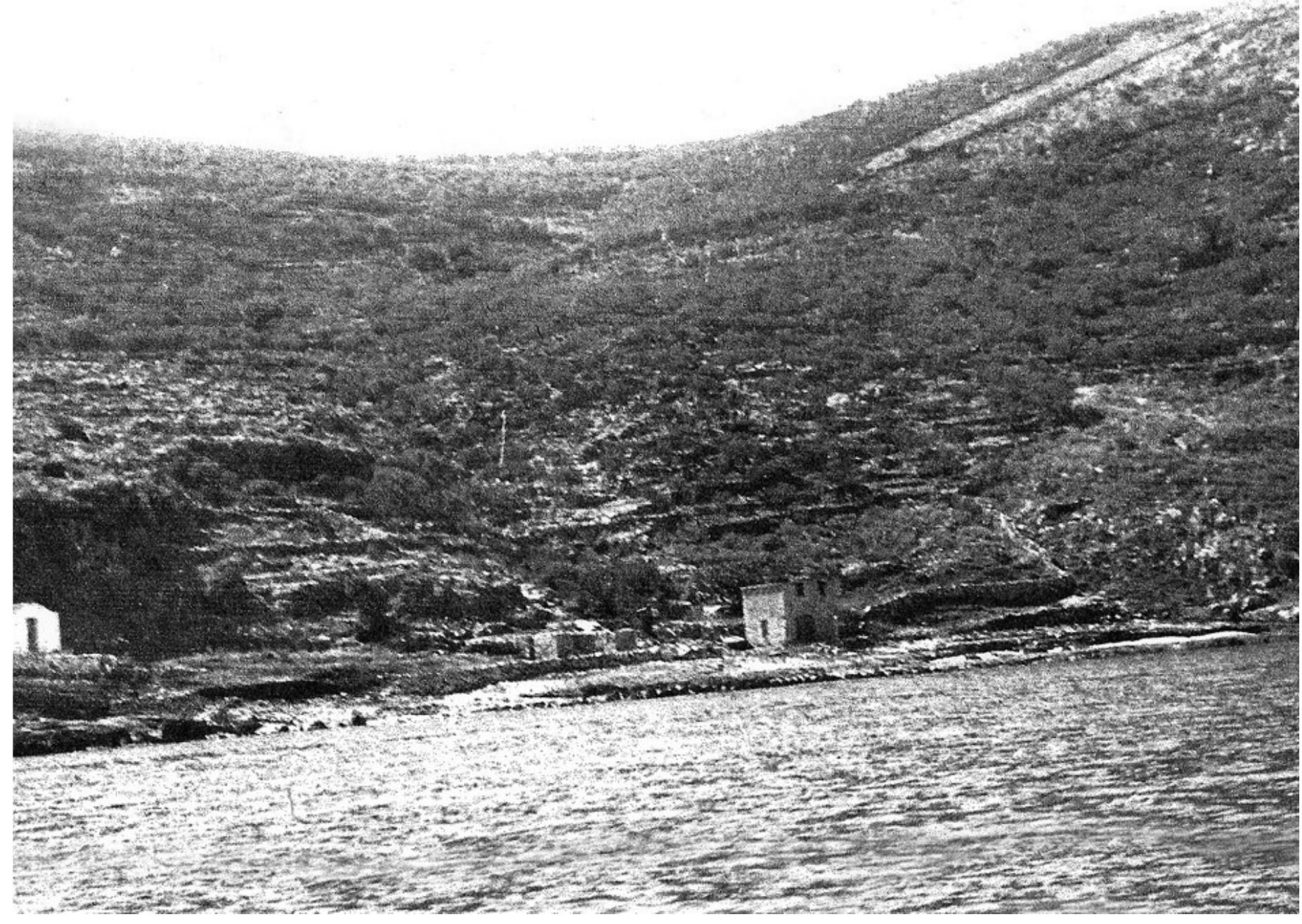 Fig. 1. Landscape of entrance of cave after the destruction of the terraces, where feral almond trees still grew in 1980.
