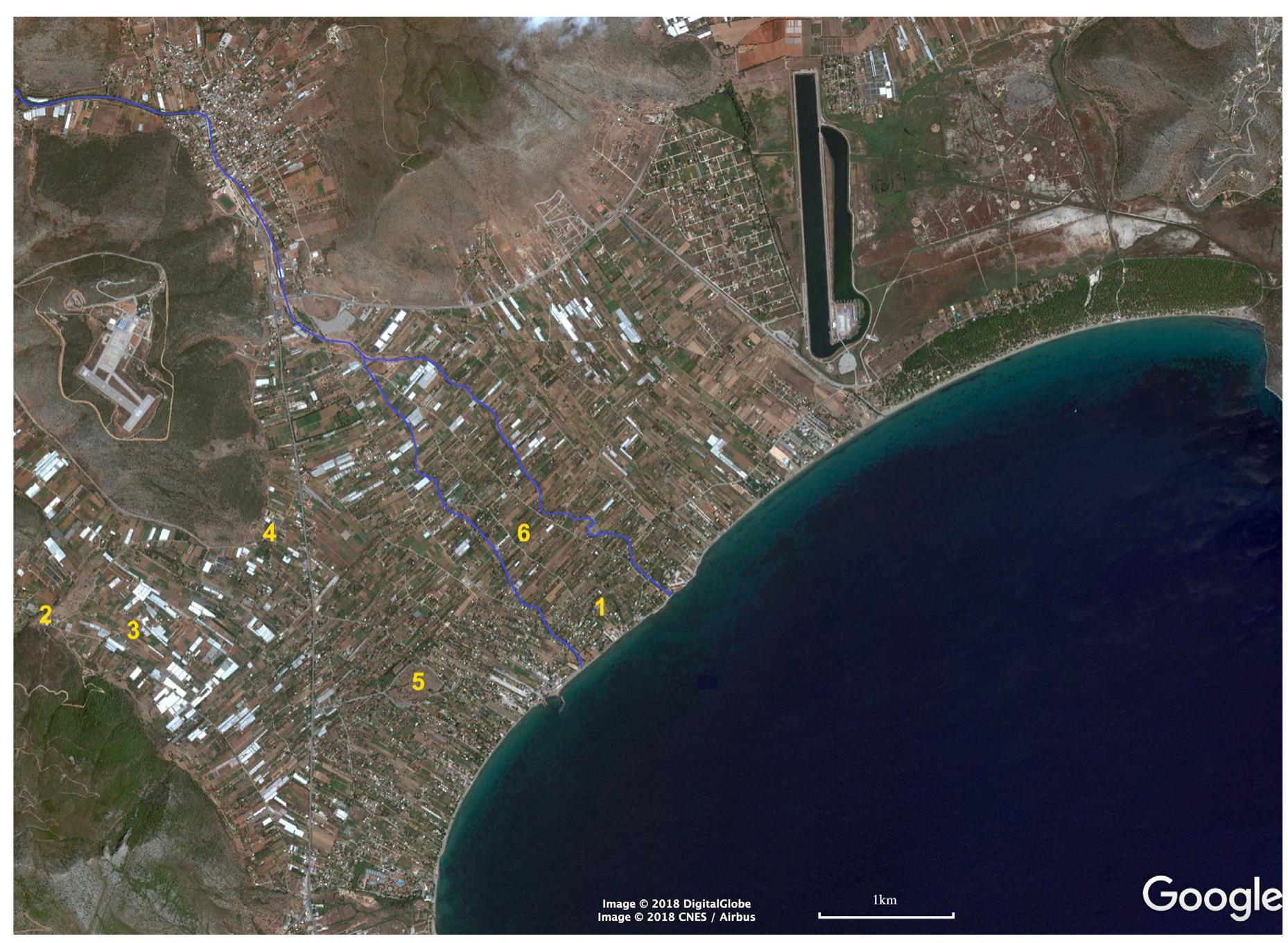 Fig. 1. Map of Marathon: Plasi (1), Vranas (2), Arnos (3), Tsepi (4), Mound of the Athenians (5), Klopa (6). The streambeds are indi-
cated with blue line.
