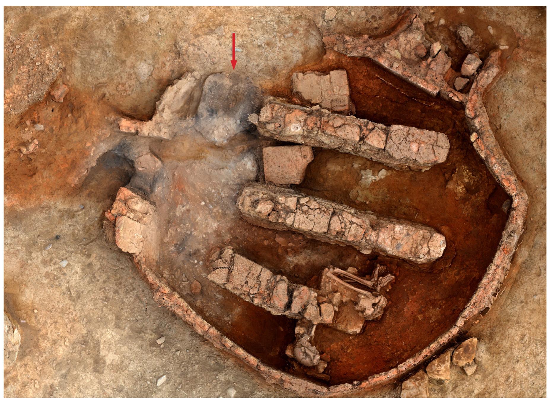 Fig. 4. Kiln 1 after the removal of the destruction layer. Red arrow indicates the ash layer (Stratum IV) which covered the firebox
and the West Stoking Area.
