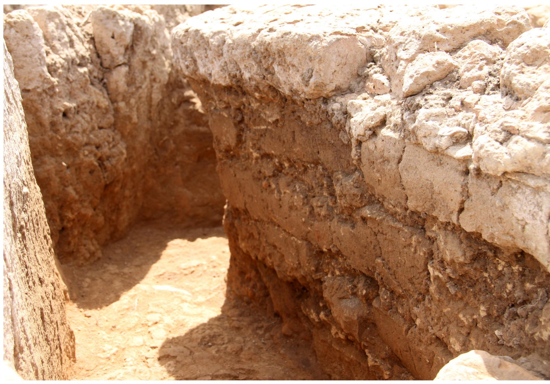 Fig. 7. Kiln 1. Internal wall 1 made of successive rows of horizontally placed mudbricks.
