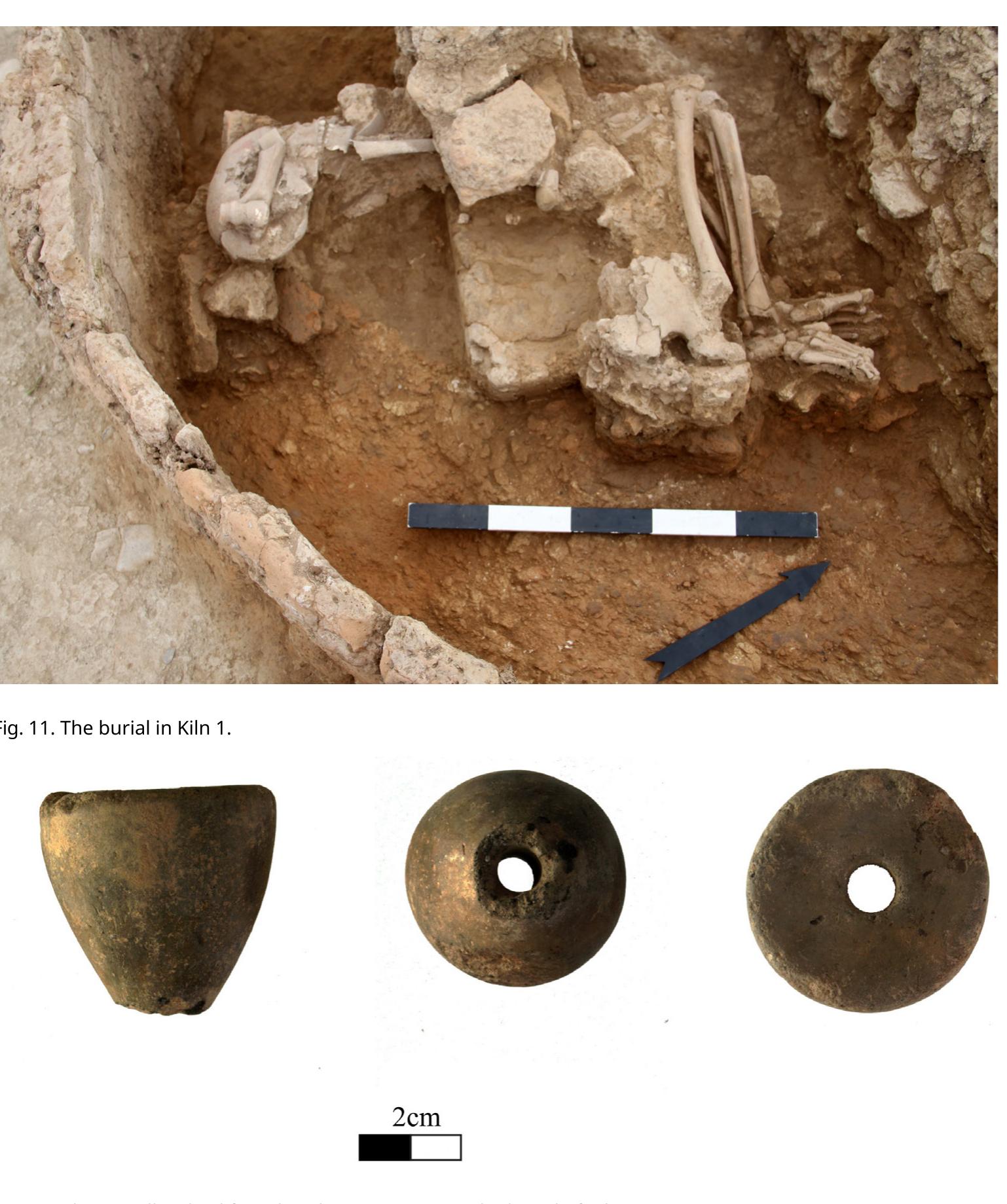 On the top of the skull of the skeleton, an animal's long bone was found (Fig. 11),2’ perhaps
originating from the destruction layer that was covering the burial. In the area of the arms,
but not in direct contact with the skeleton, a clay spindle whorl was found (Fig. 12). Although it
may also have originated from the destruction layer, the fact that it was found surrounded by
4-5 limpets may suggest an intentional deposition of offerings associated with the burial. The
spindle has a conical shape and is 4.1cm high (diam. 1.5-4 cm; diameter of perforation: 1cm).
No other finds were found in direct association with the burial. The skeleton was covered by
material of the kiln’s destruction layer, which appears to have been reused for the purposes of
covering the burial once the funeral was over.
