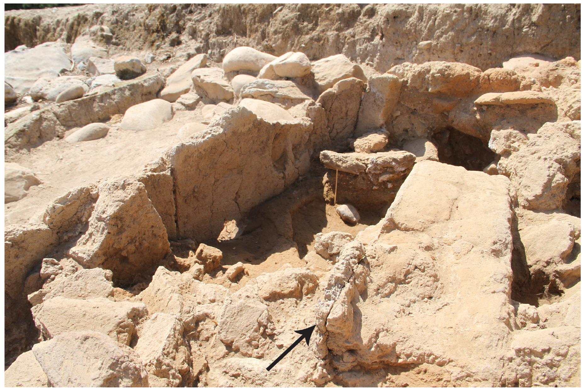Fig. 14. The eastern part of Kiln 2 during the excavation of the destruction layer (Stratum VI). The black arrow indicates the clay
coating covering the surface of the internal wall.
