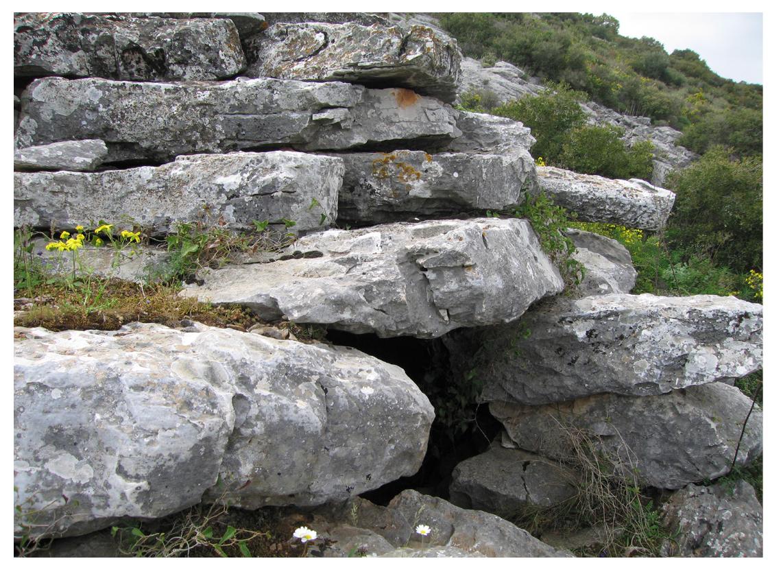 Fig. 11. The “Dragon-house” of Hymettus (view of its entrance).
