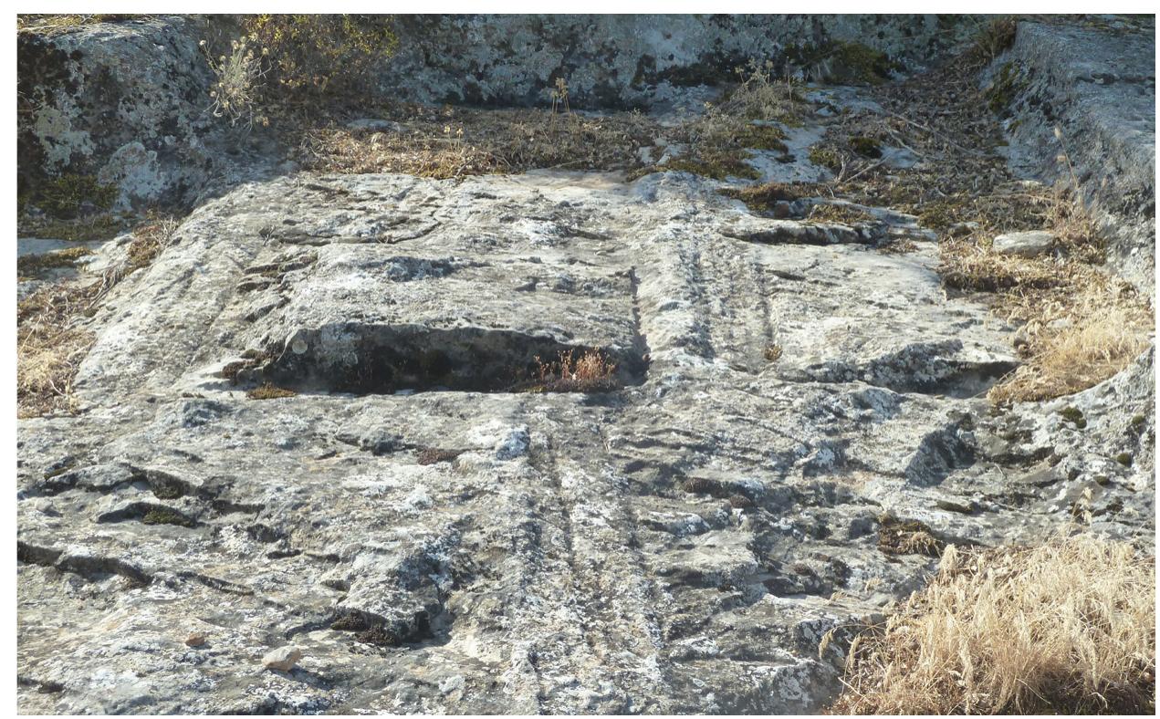 Fig. 14. Impressions of four detached blocks separated by quarrying trenches
with series of punch-marks (pointillé technique) inside, in the “lower” quarry.
