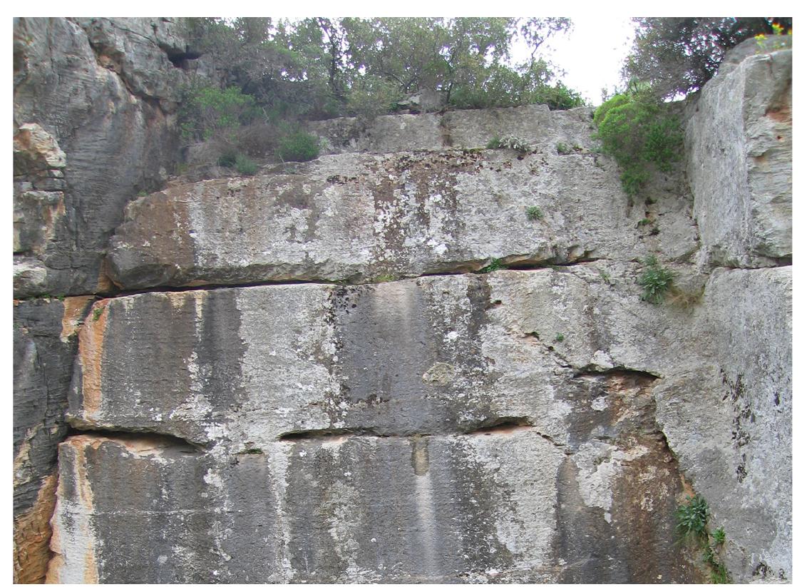 Fig. 19. Tykos traces on the vertical wall of the quarry on the highest part
of the mountain.
